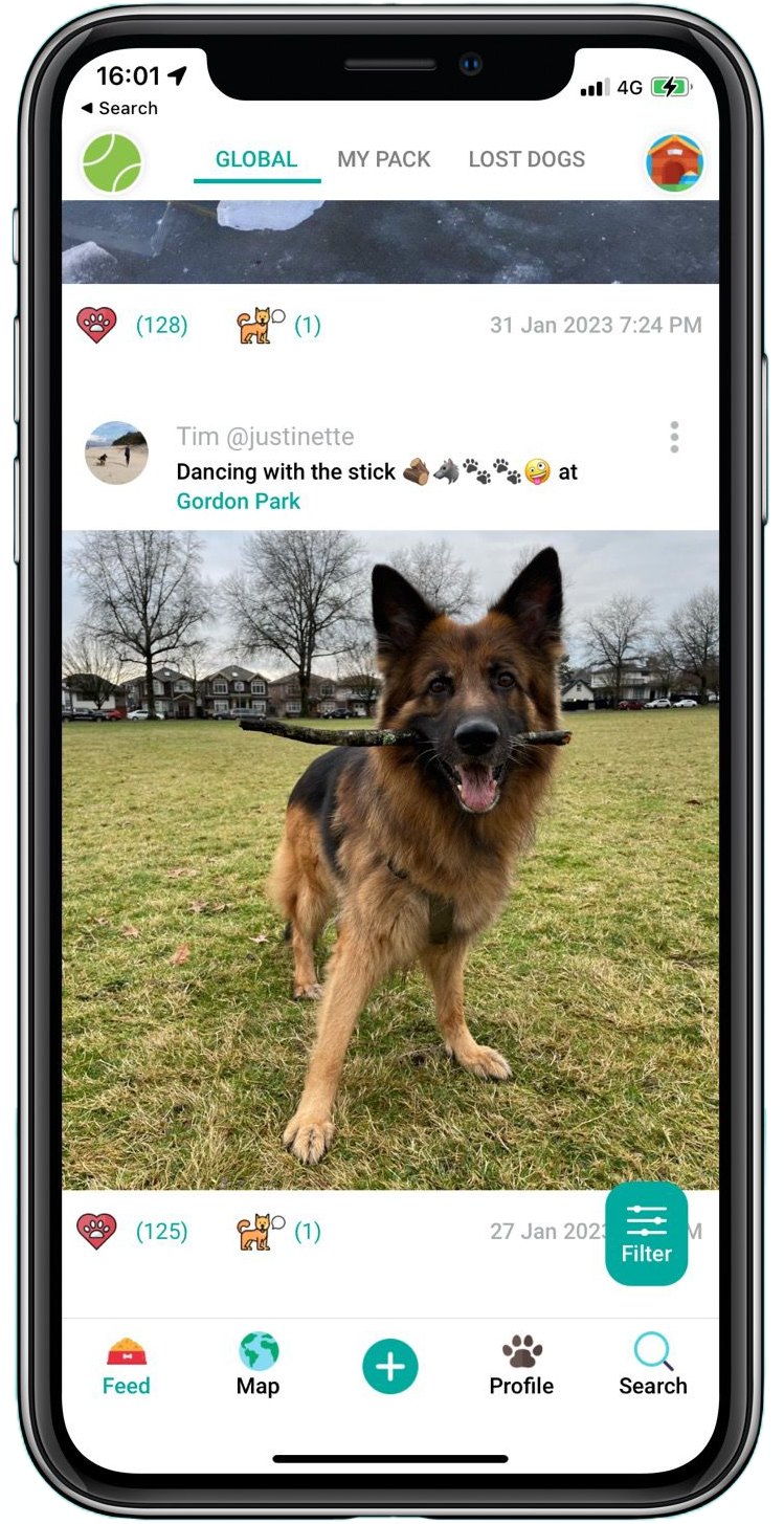 Top 10 Most Popular Dog Breeds in 2023 DogPack